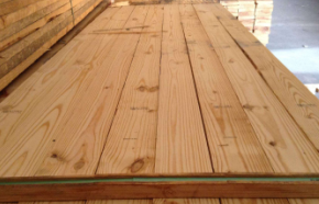 四川南方松 四川南方松